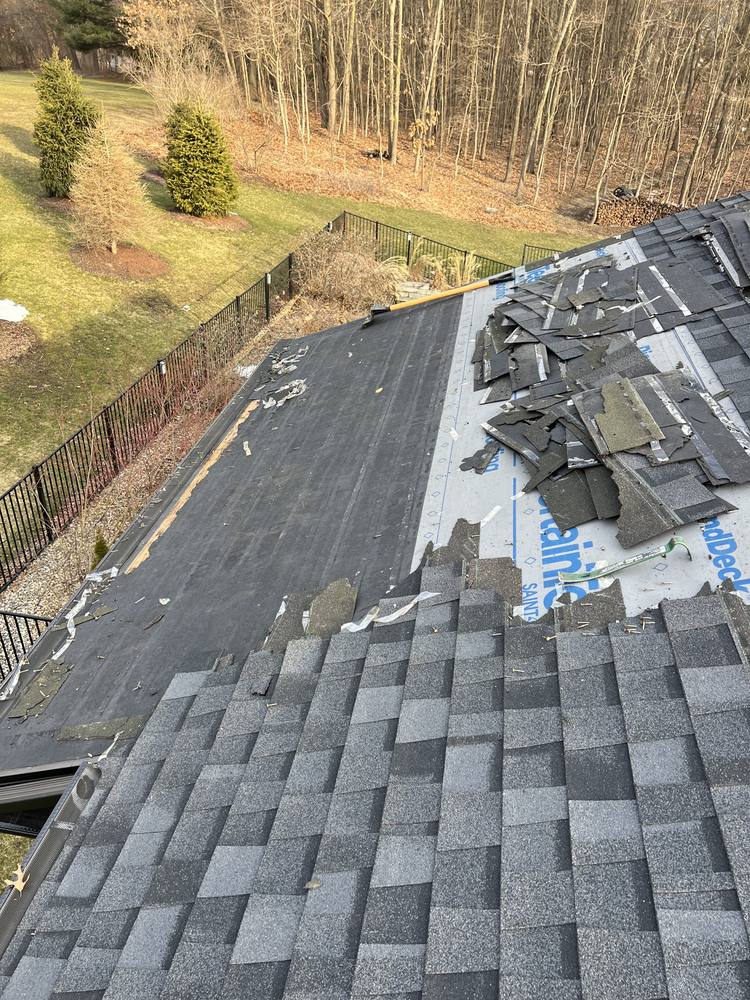 Eave Edge Leak Repair and Intake Vent Upgrade in West Michigan — photo 4 of 16