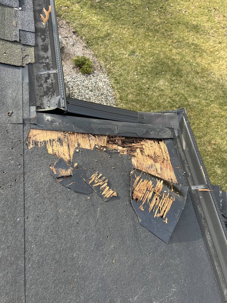 Eave Edge Leak Repair and Intake Vent Upgrade in West Michigan — photo 6 of 16