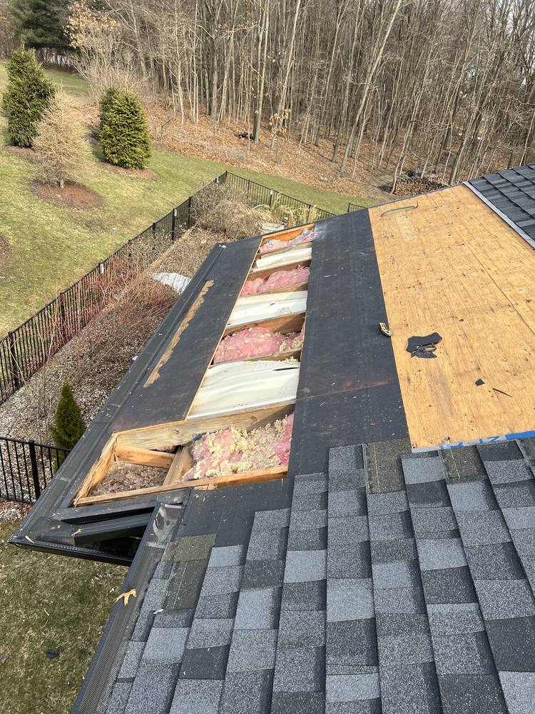 Eave Edge Leak Repair and Intake Vent Upgrade in West Michigan — photo 10 of 16