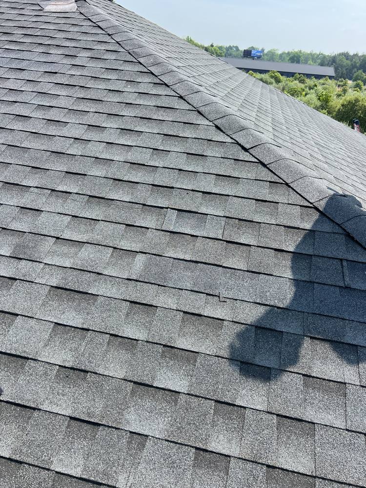 Blown-Off Shingles in West Michigan — photo 9 of 10
