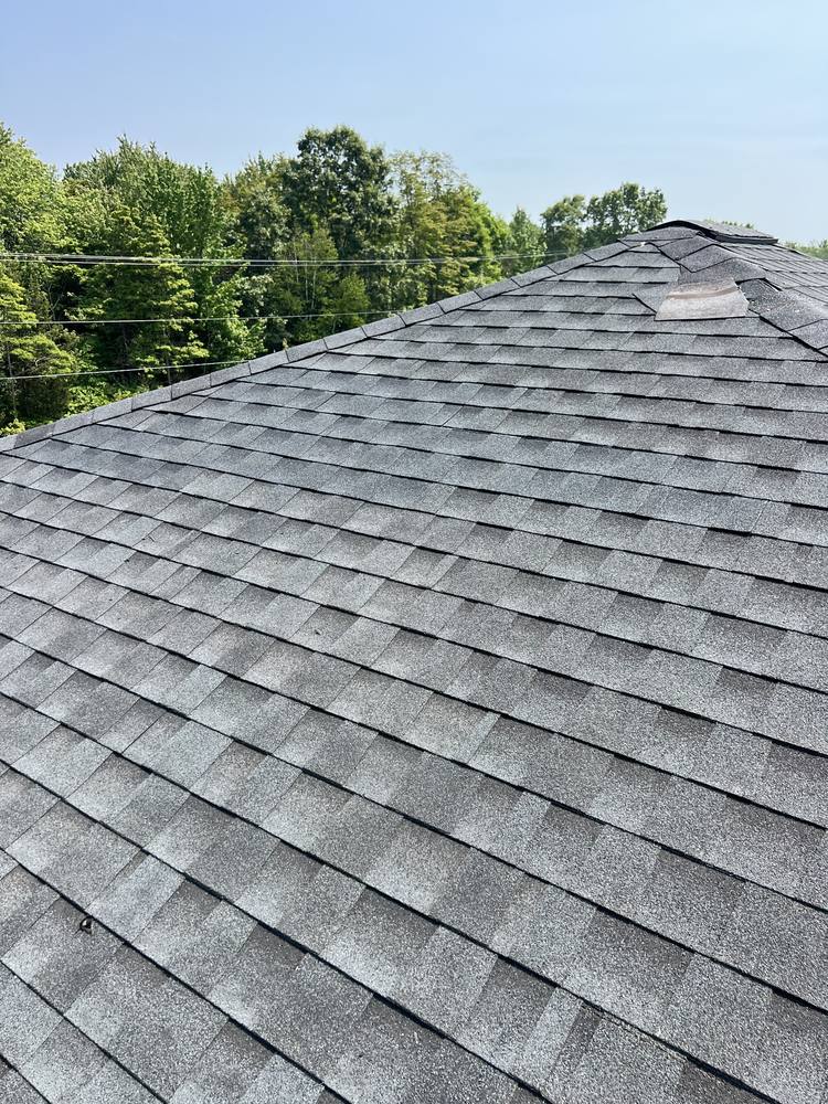 Blown-Off Shingles in West Michigan — photo 10 of 10