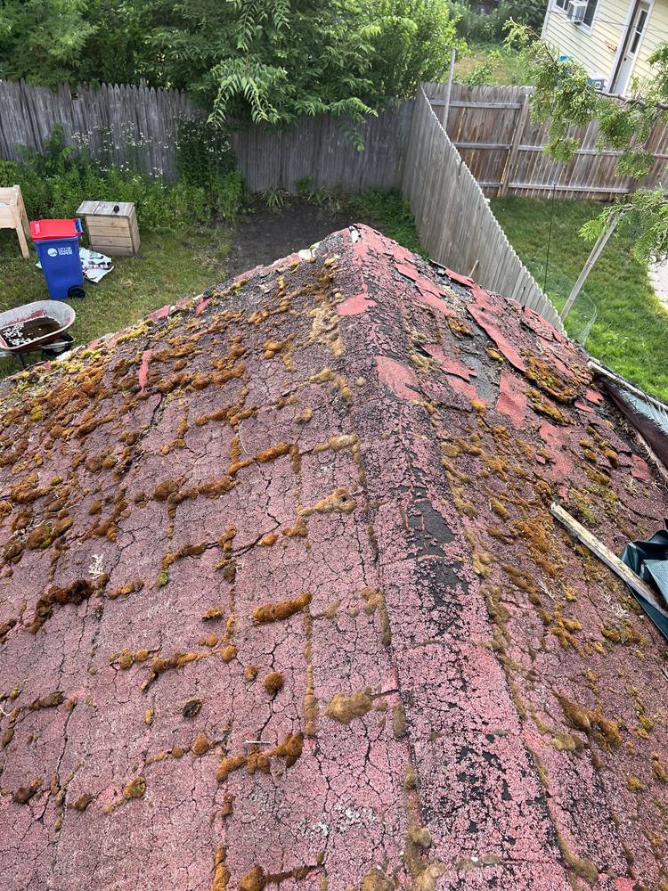 Garage Roof Rebuild in West Michigan — photo 11 of 35