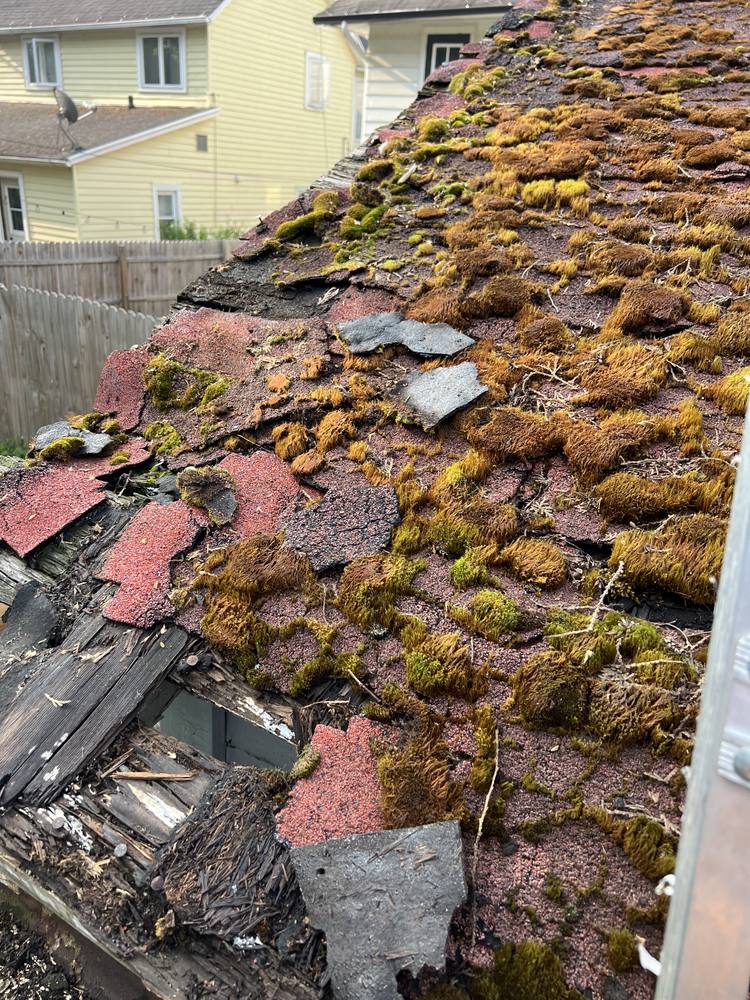 Garage Roof Rebuild in West Michigan — photo 16 of 35