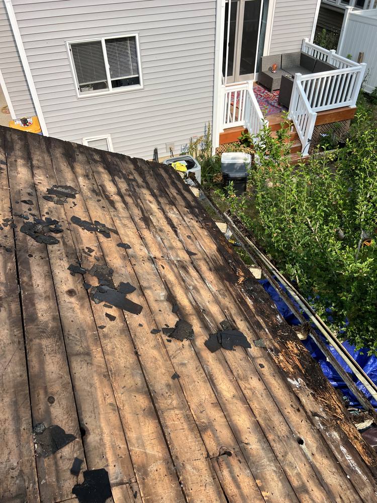 Garage Roof Rebuild in West Michigan — photo 21 of 35