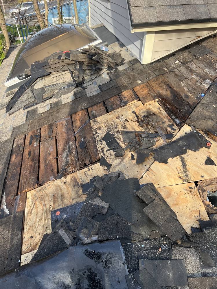 Hip Roof Rebuild in West Michigan — photo 5 of 22