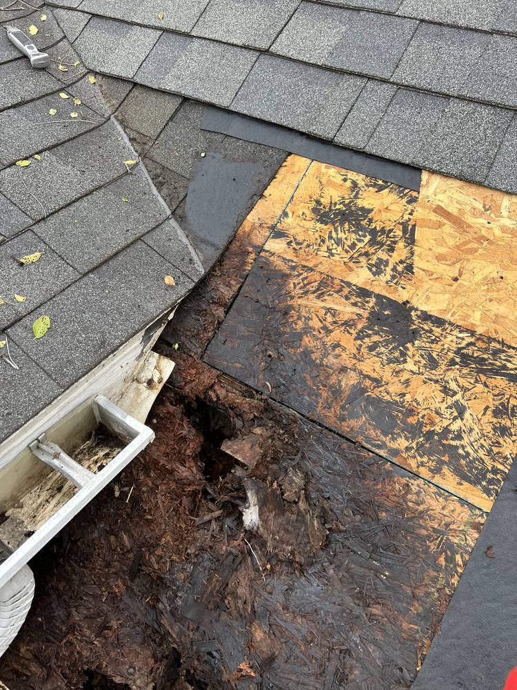 Leak Repair Below Valley in West Michigan — photo 15 of 30
