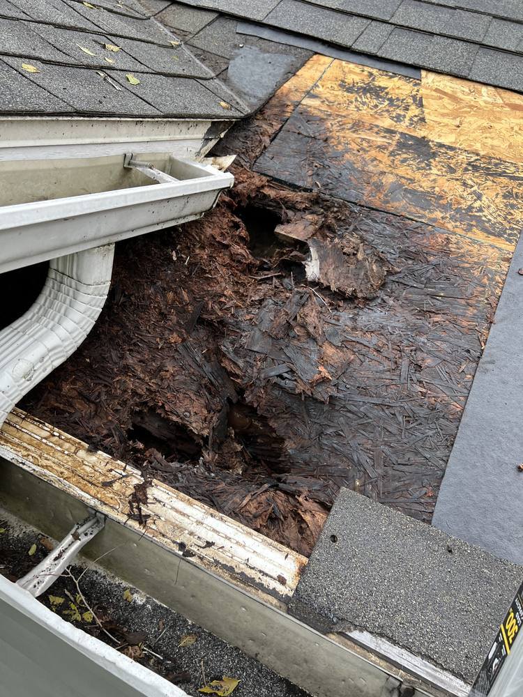 Leak Repair Below Valley in West Michigan — photo 18 of 30