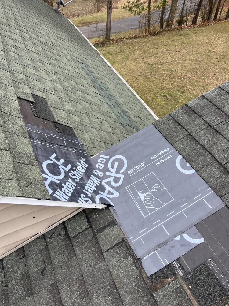 Pitch Intersection and Eave Edge Repair in West Michigan — photo 19 of 24