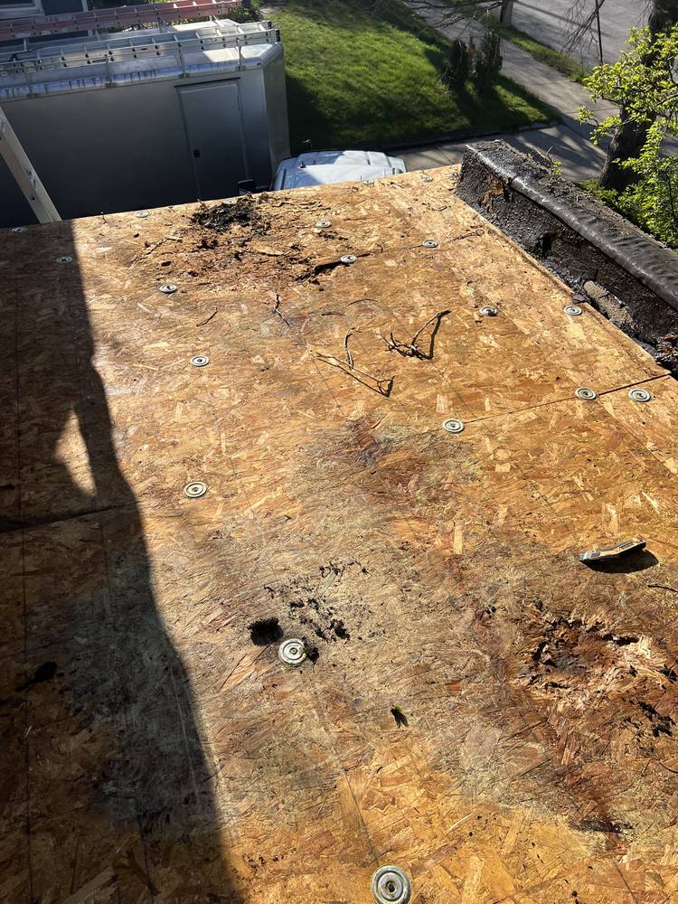 Residential EPDM (Rubber) Flat Roof in West Michigan — photo 6 of 55