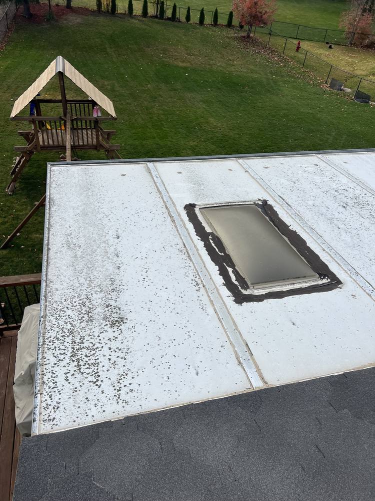 Sunroom Skylight Replacement in West Michigan — photo 5 of 17