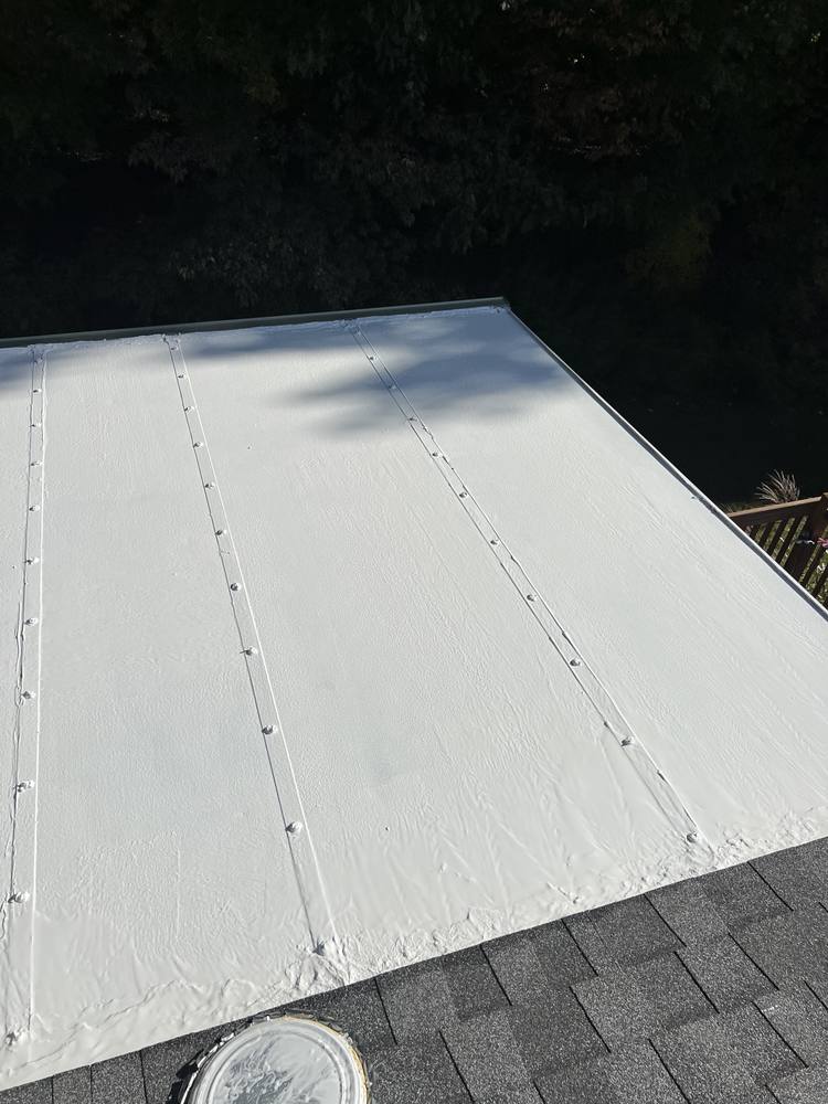 Three-Season Porch Roof Coating in West Michigan — photo 9 of 13