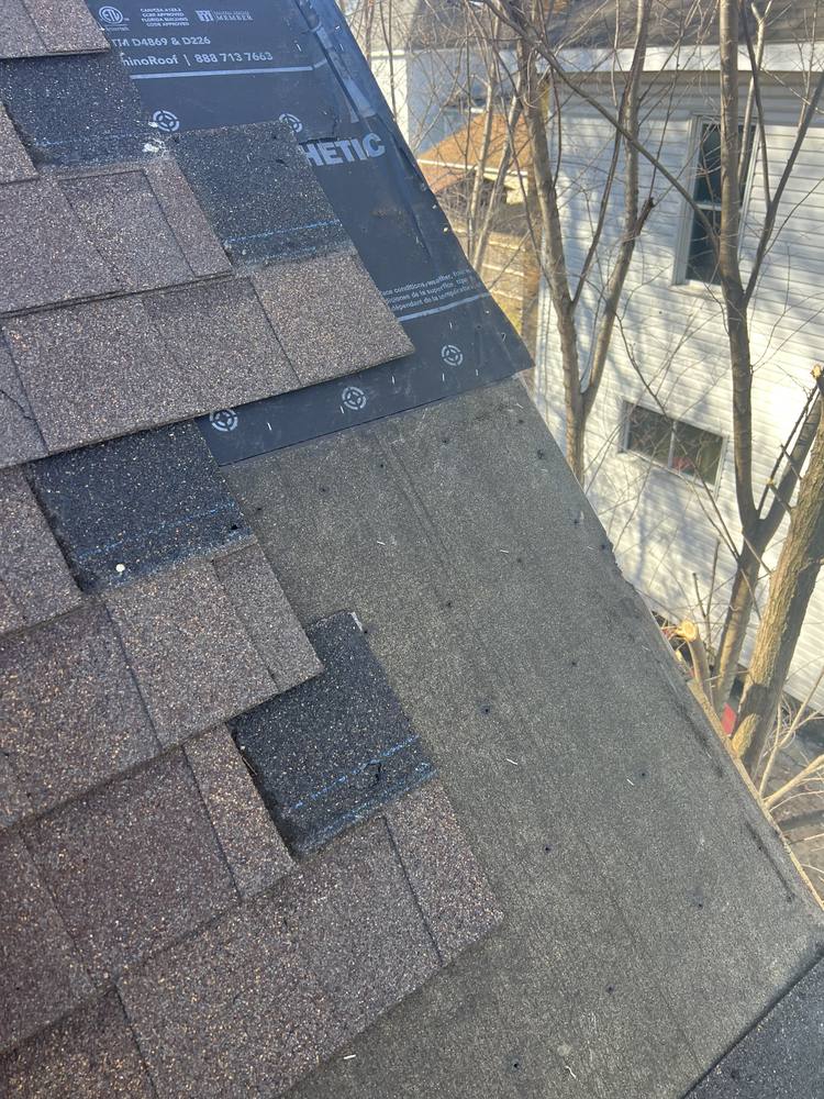 Tree Damage to a Roof in West Michigan — photo 12 of 17
